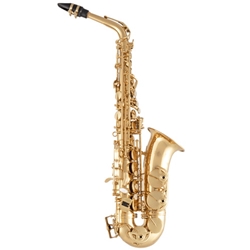 Selmer SAS411 Step-Up Alto Saxophone