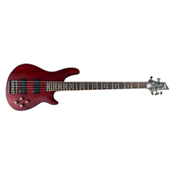 Schecter Omen-5 Electric Bass, Used